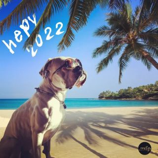 👋 ...a nekonečnou zásobu pozitivní energie ♾ . . . #bowiedog #happynewyear #marianforpresident #autorskatvorba #biotriko...